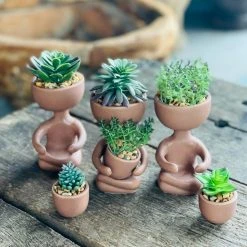 Patina Stores Plant Lover Succulent Pot