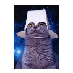 Patina Stores Space Cat Birthday Card