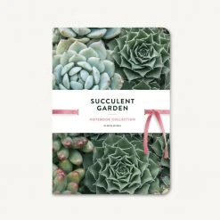 Patina Stores Home Office Succulent Garden Notebook 3 Pack