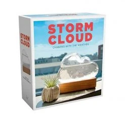 Patina Stores Storm Cloud