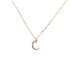 Patina Stores Pave Moon & Star Necklace