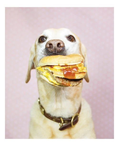 Patina Stores Cards & Wrap Lab With Burger Birthday Card Patina Stores Cards & Wrap Lab With Burger Birthday Card