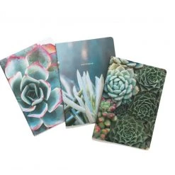 Patina Stores Home Office Succulent Garden Notebook 3 Pack