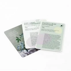 Patina Stores Garden Leaf Supply Deck Of Plants - 50 Indoor Plant Profiles