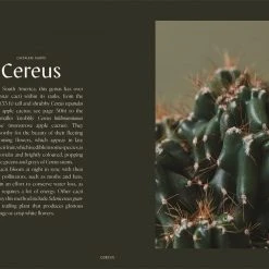 Patina Stores Plantopedia Book Garden 3 Patina Stores Plantopedia Book Garden