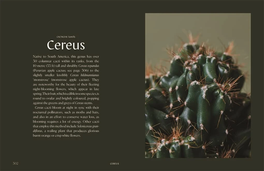 Patina Stores Plantopedia Book Garden Patina Stores Plantopedia Book Garden