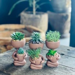 Patina Stores Plant Lover Succulent Pot