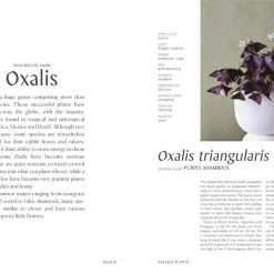 Patina Stores Plantopedia Book Garden 4 Patina Stores Plantopedia Book Garden