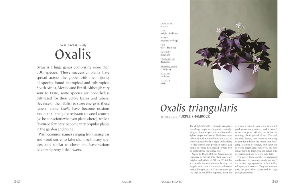 Patina Stores Plantopedia Book Garden Patina Stores Plantopedia Book Garden