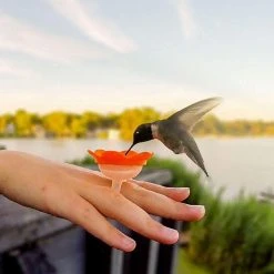 Patina Stores Hummingbird Feeder Ring Garden