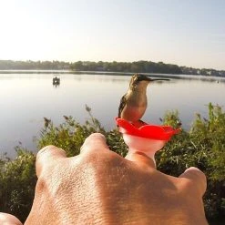 Patina Stores Hummingbird Feeder Ring Garden