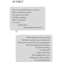 Patina Stores Call Us What We Carry Book 3 Patina Stores Call Us What We Carry Book