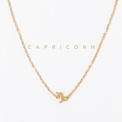 Patina Stores Zodiac Necklace Graduation Gifts 11 Patina Stores Zodiac Necklace Graduation Gifts