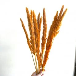 Patina Stores Home Goods Faux Pampas Grass