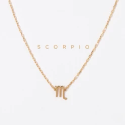 Patina Stores Zodiac Necklace Graduation Gifts 9 Patina Stores Zodiac Necklace Graduation Gifts