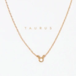 Patina Stores Zodiac Necklace Graduation Gifts 2 Patina Stores Zodiac Necklace Graduation Gifts