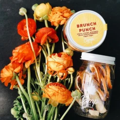 Patina Stores Entertaining Brunch Punch Cocktail Kit