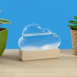 Patina Stores Storm Cloud