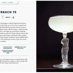 Patina Stores Essential Cocktail Book