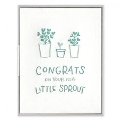 Patina Stores Little Sprout Baby Card