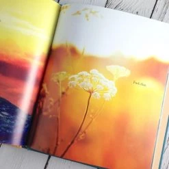 Patina Stores F*ck That: An Honest Meditation Book Mystic