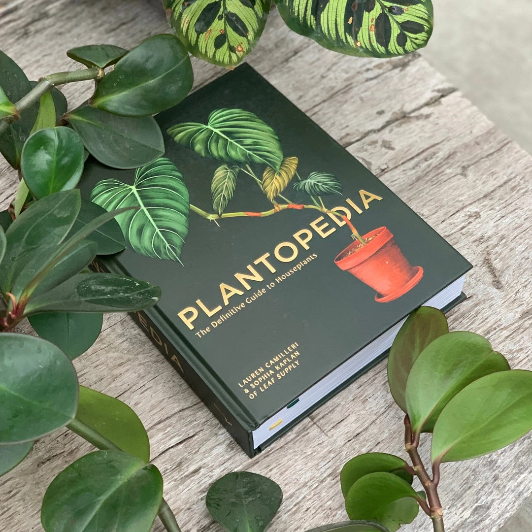 Patina Stores Plantopedia Book Garden Patina Stores Plantopedia Book Garden