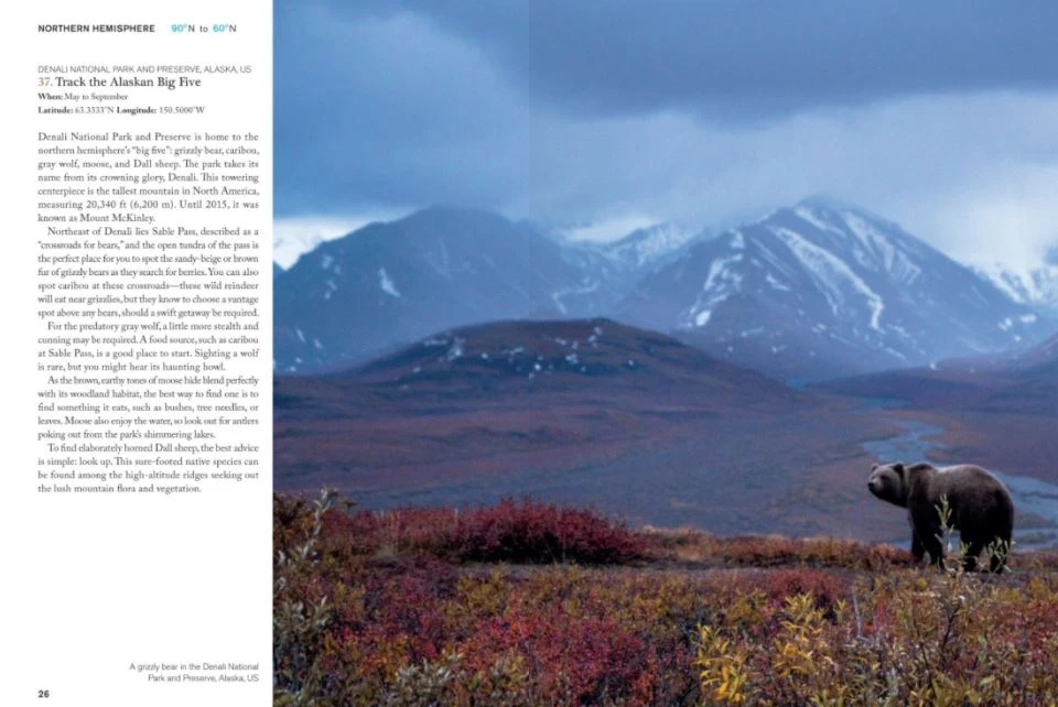 Patina Stores The Bucket List 1000 Adventures Book Patina Stores The Bucket List 1000 Adventures Book