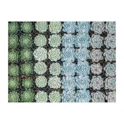 Patina Stores Succulent Garden Double-Sided 500pc Puzzle